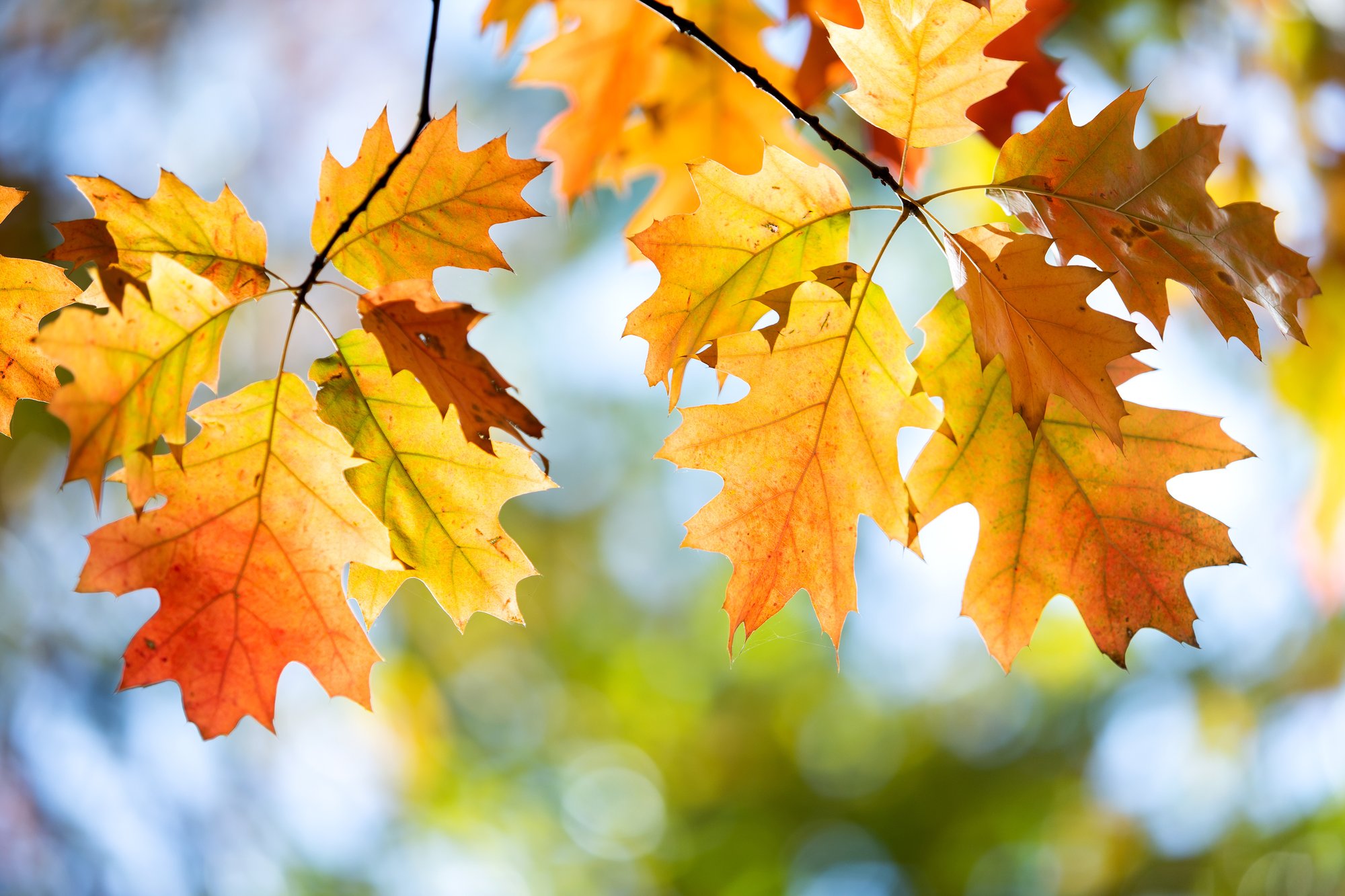 AdobeStock_359789710 AdobeStock_359789710