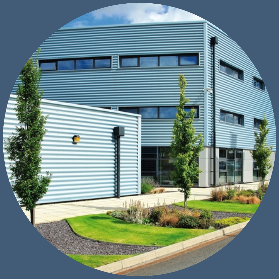 Untitled design - 2026-02-05T163453.236 Untitled design - 2026-02-05T163453.236